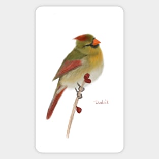 Handmade painted Female Cardinal Sticker